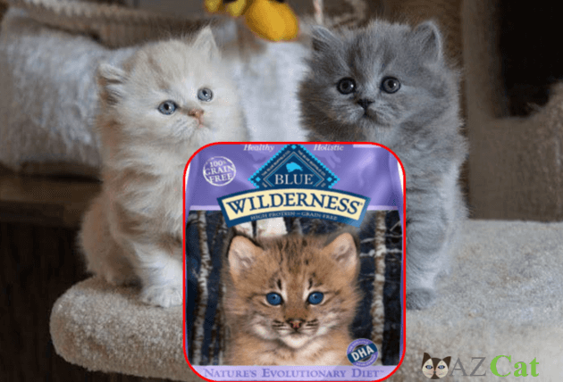 Free Kitten Dry Cat Food