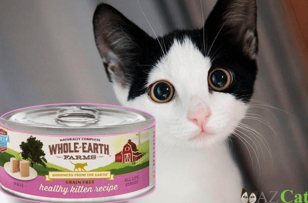 Whole Earth Farms canned food 