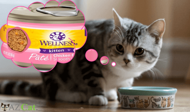 Reviews of the best wet kitten foods